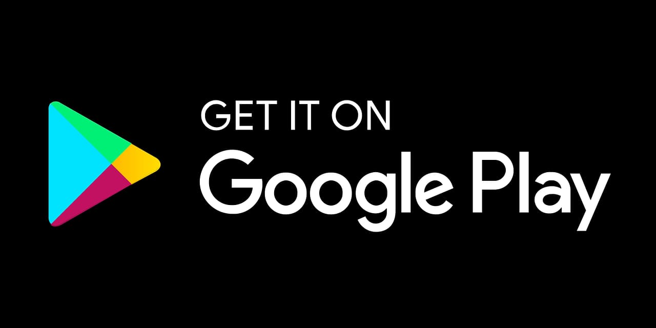 Download on the Google Store